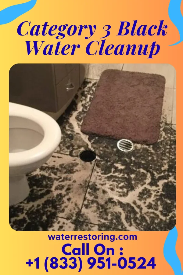 Category 3 Black Water Cleanup in Belle Meade, TN