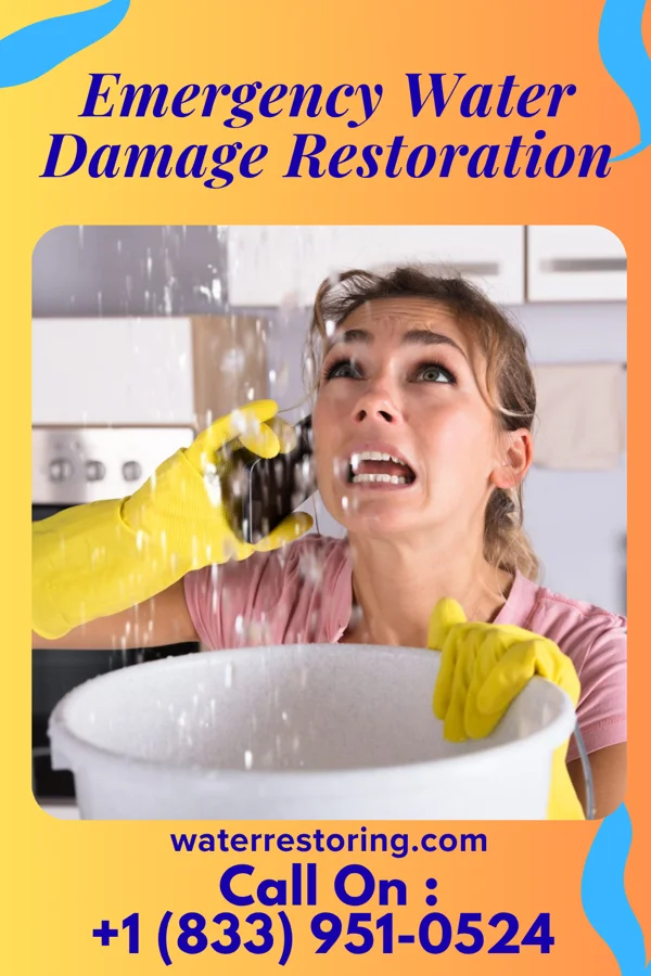 Emergency Water Damage Restoration in Belle Meade, TN