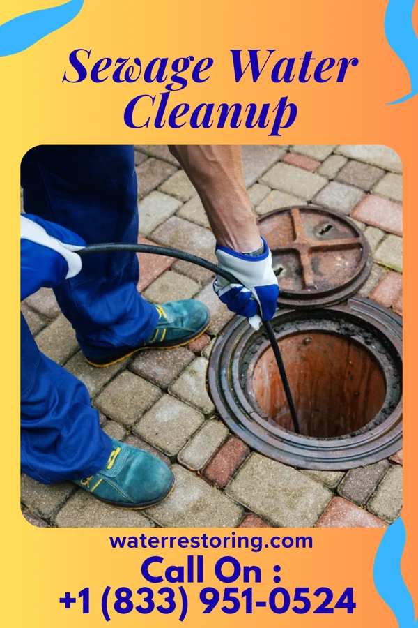 Sewage Water Cleanup in Belle Meade, TN